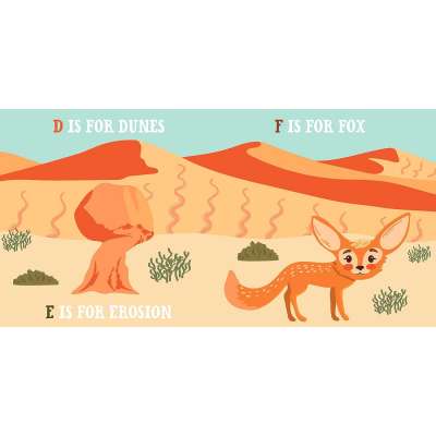 D Is for Desert: An ABC Desert Primer - Board Book