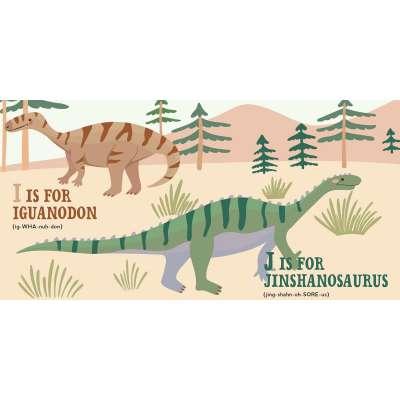 D Is for Dinosaur: An ABC Primer - Board Book