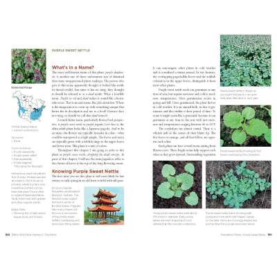 Edible Wild Plants, Volume 2: Wild Foods from Foraging to Feasting - Book