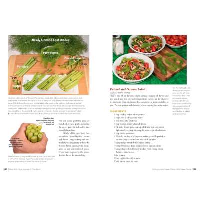 Edible Wild Plants, Volume 2: Wild Foods from Foraging to Feasting - Book