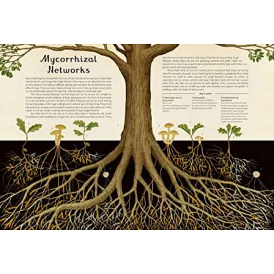 Fungarium: Welcome to the Museum - Book