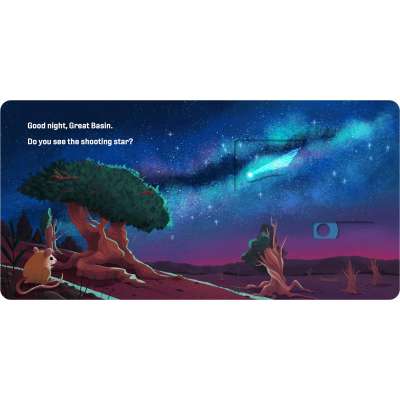 Good Night, National Parks - Book