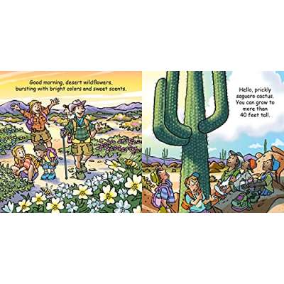 Good Night Desert - Book