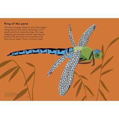 Insectorama: The Marvelous World of Insects - Book