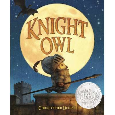 Knight Owl - Book
