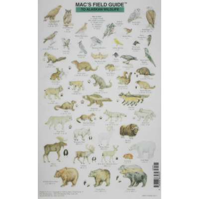 Mac's Field Guide to Alaskan Wildlife