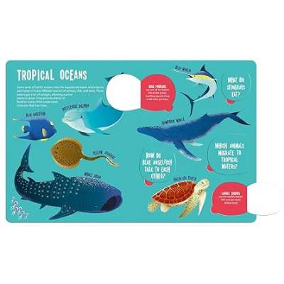 Magic Searchlight - Ocean Animals - Book