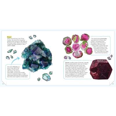 Minerals and Rocks: A Beginner's Guide - Book