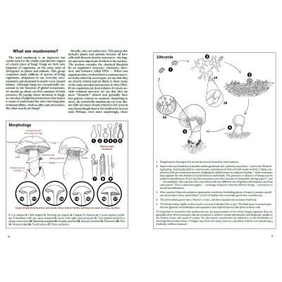 Mushrooms of Cascadia: A Comprehensive Guide to Fungi of the Pacific Northwest - Book
