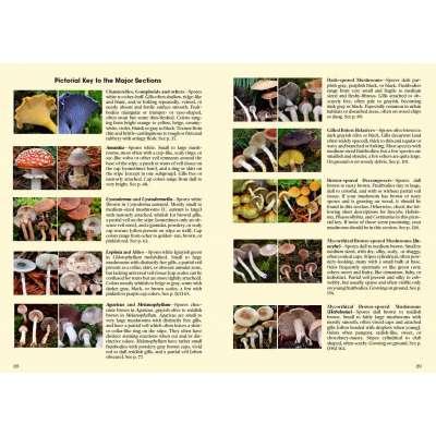 Mushrooms of Cascadia: A Comprehensive Guide to Fungi of the Pacific Northwest - Book