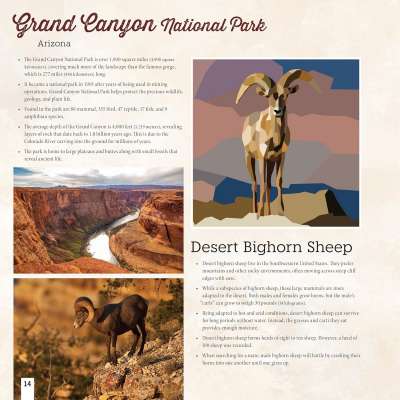 National Parks of North America Amazing Animals - Sticker Book