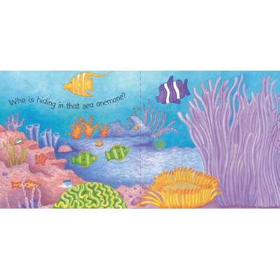 Ocean Wonders - Board Book