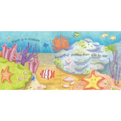 Ocean Wonders - Board Book