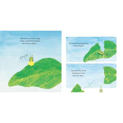 Papilio - Book