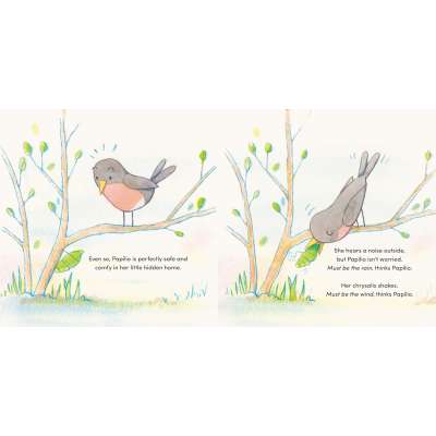 Papilio - Book