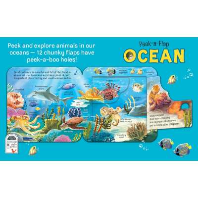 Peek-a-Flap Ocean - Board book