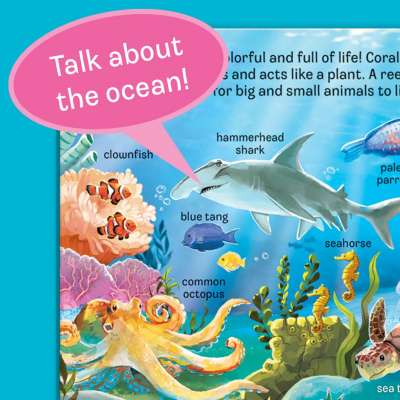 Peek-a-Flap Ocean - Board book