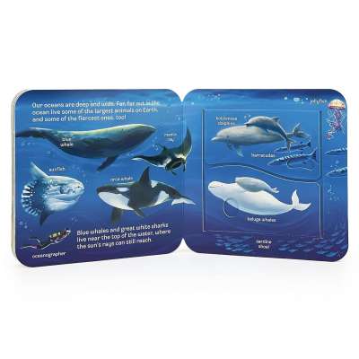 Peek-a-Flap Ocean - Board book