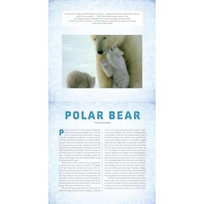 Polar: A Photicular Book - Book
