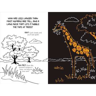 Dot-to-Dot Animals Scratch & Sketch - Book