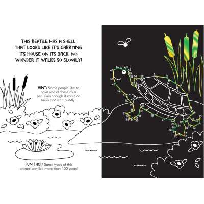 Dot-to-Dot Animals Scratch & Sketch - Book
