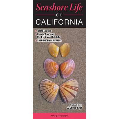 Seashore Life of California - Book
