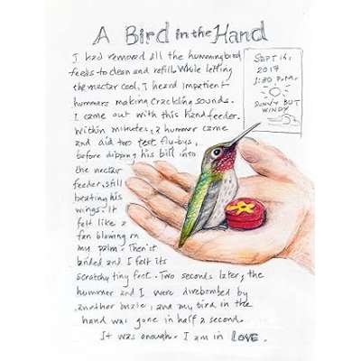 The Backyard Bird Chronicles - Book