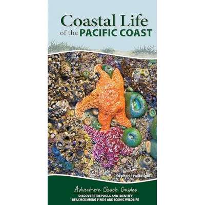 Coastal Life of the Pacific Coast: Discover Tidepools and Identify Beachcombing Finds and Iconic Wildlife - Spiral Bound
