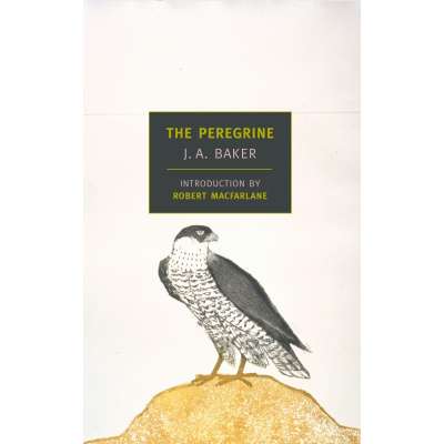 The Peregrine - Book