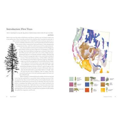 Trees of the West: An Artist’s Guide - Book