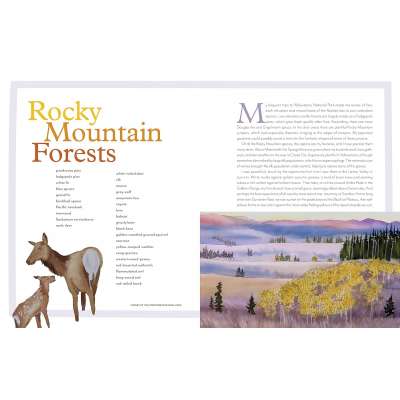Trees of the West: An Artist’s Guide - Book