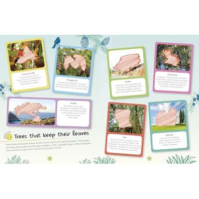 Ultimate Sticker Book Trees and Leaves - Book