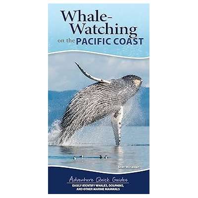 Whale-Watching on the Pacific Coast - Pocket Book