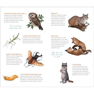 Wild, Wonderful Tattoo Woodland Animals: 60 Temporary Tattoos That Teach - Book