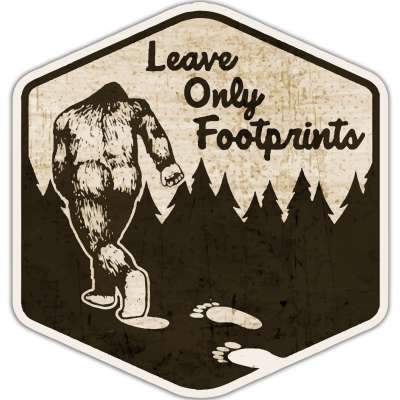 Leave Only Footprints VINYL STICKER (1 STICKER)