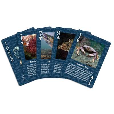 Marine Wildlife of the Pacific Northwest - Playing Cards