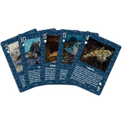 Marine Wildlife of the Pacific Northwest - Playing Cards