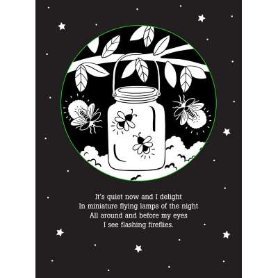 Things That Glow Bedtime Shadow Book