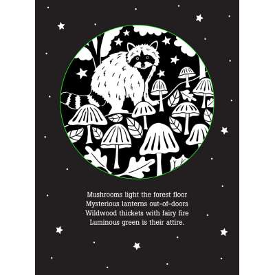 Things That Glow Bedtime Shadow Book