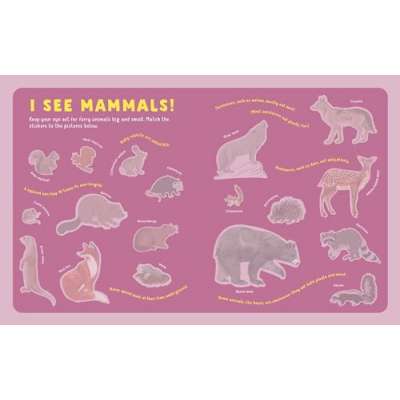 Backpack Explorer Stickers: Nature Adventure - Book