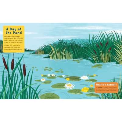 Backpack Explorer Stickers: Nature Adventure - Book