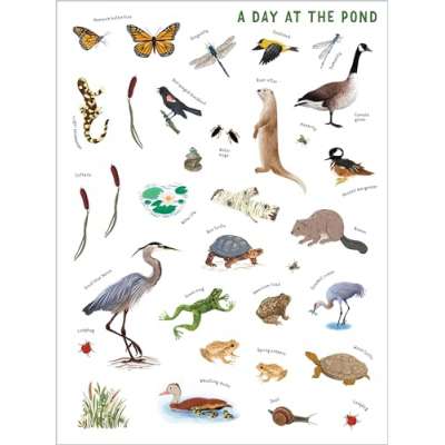 Backpack Explorer Stickers: Nature Adventure - Book