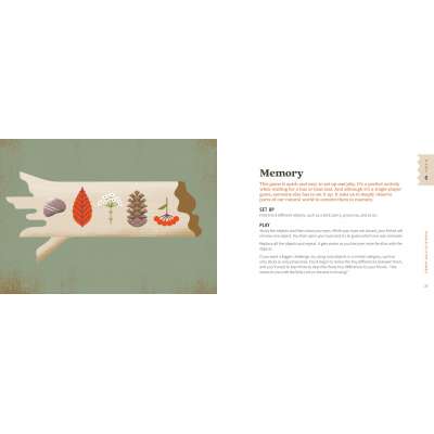 Sticks, Stones and Pinecones - Book