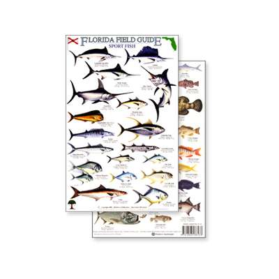 Florida Sport Fish Field Guide (Laminated 2-Sided Card)