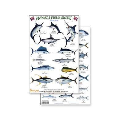 Fish & Sealife Identification Guides :Hawaii Sport Fish Guide (Laminated 2-Sided Card)