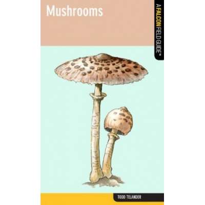 Mushroom Identification Guides :Mushrooms