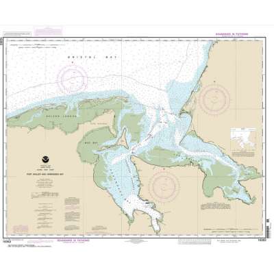 NOAA Chart 16363: Port Moller and Herendeen Bay