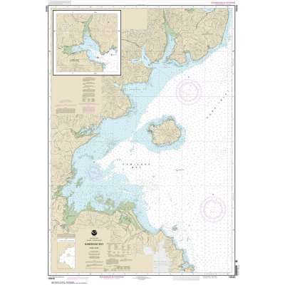 NOAA Chart 16648: Kamishak Bay