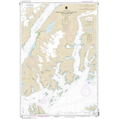 Alaska NOAA Charts :NOAA Chart 16712: Unakwik Inlet to Esther Passage and College Fiord