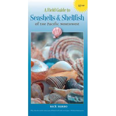 Beachcombing & Seashore Field Guides :A Field Guide to Seashells & Shellfish of the Pacific Northwest (Folding Pocket Guide)